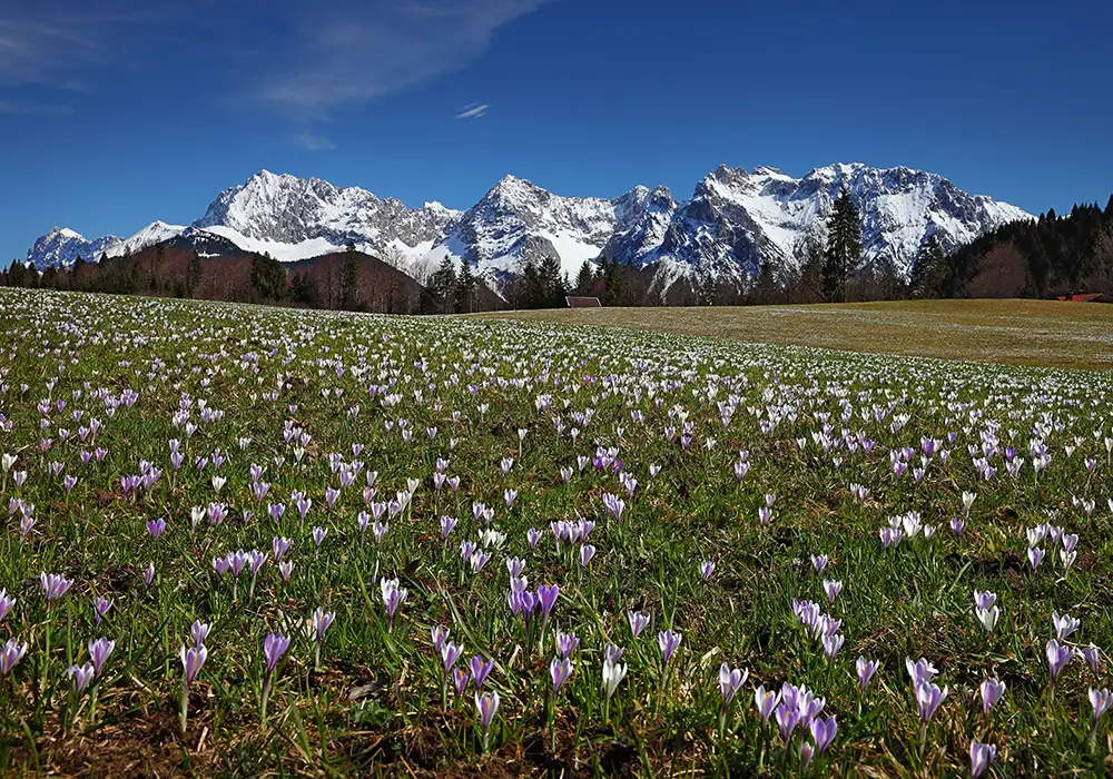 Frühjahr Wettersteingebirge 